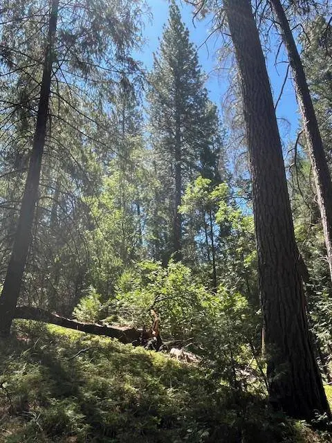 5483 Poor Mans WAY, Wilseyville, CA 95257