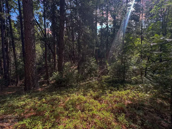 5483 Poor Mans WAY, Wilseyville, CA 95257