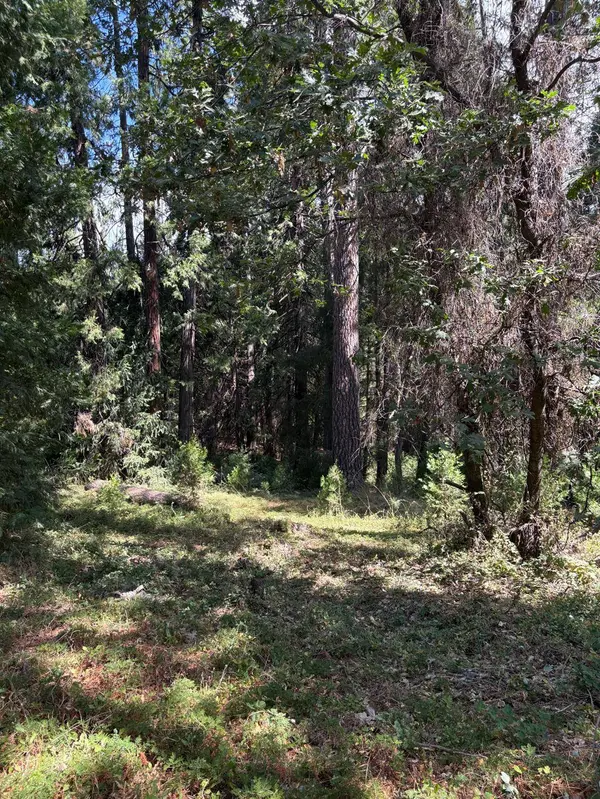 5483 Poor Mans WAY, Wilseyville, CA 95257