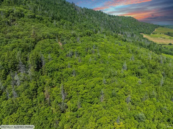 9600 Seigler Springs North RD, Kelseyville, CA 95451
