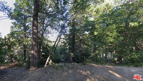 0 Ponderosa DR, Cedar Glen, CA 92321
