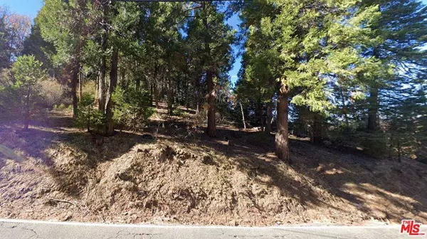 0 Ponderosa DR, Cedar Glen, CA 92321