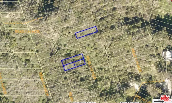 2420 N Bushrod Ln, Los Angeles, CA 90077