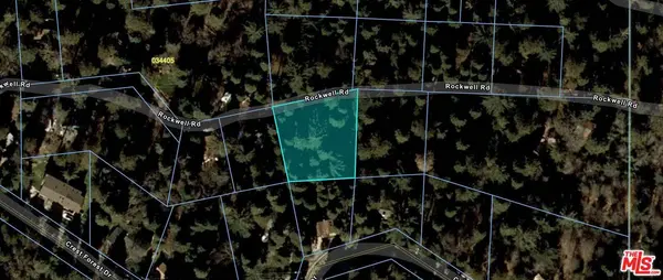 24431 Rockwell Rd, Cedarpines Park, CA 92322