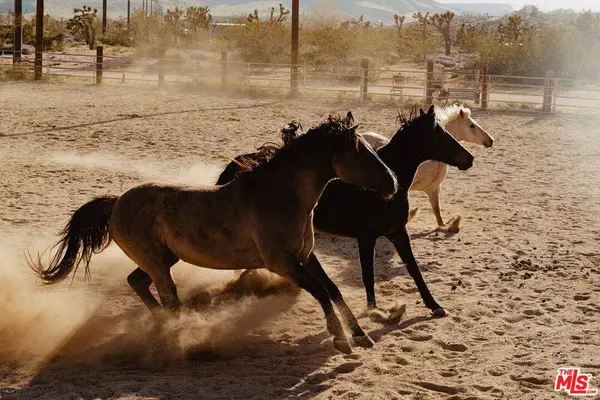 55626 Pipes Canyon RD, Yucca Valley, CA 92284