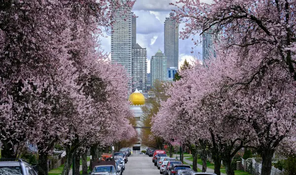 Living in Central Lonsdale: North Vancouver's Most Connected Neighbourhood,Paul Fraser Personal Real Estate Corporation