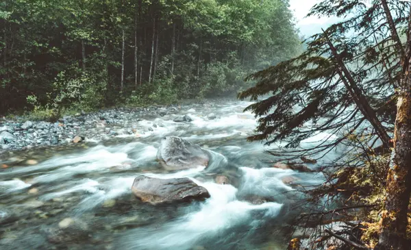 Lynn Valley vs. Edgemont Village: Two North Vancouver Neighbourhoods Compared