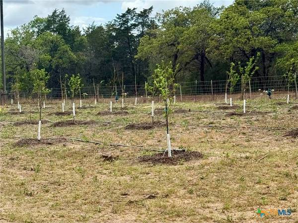 6975 Silver Mine RD, Harwood, TX 78632