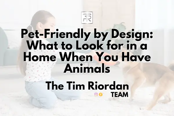 Pet-Friendly by Design: What to Look for in a Home When You Have Animals