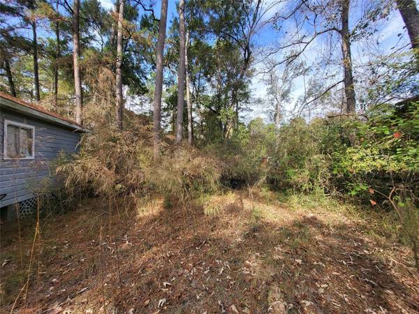 25319 Penguin ST, Magnolia, TX 77355