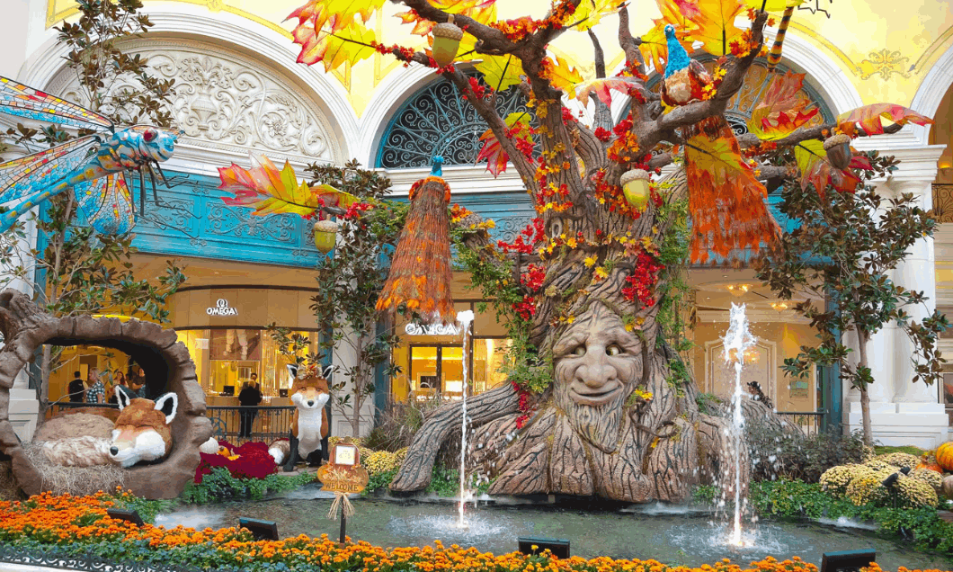 Fall In Las Vegas