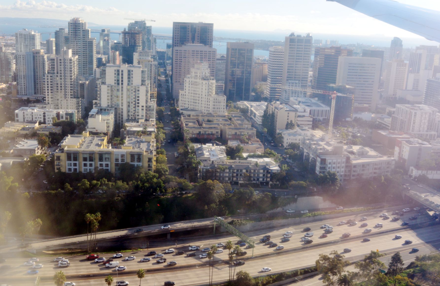 damon-cuccia-san-diego-california