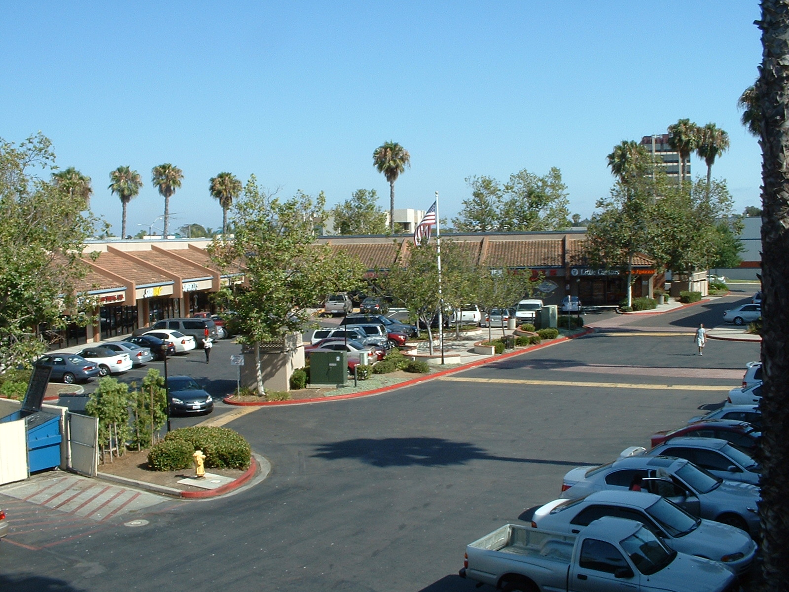 damon-cuccia-san-diego-california