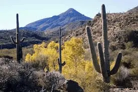 Living in Cave Creek, Arizona,Jennifer Haugebak