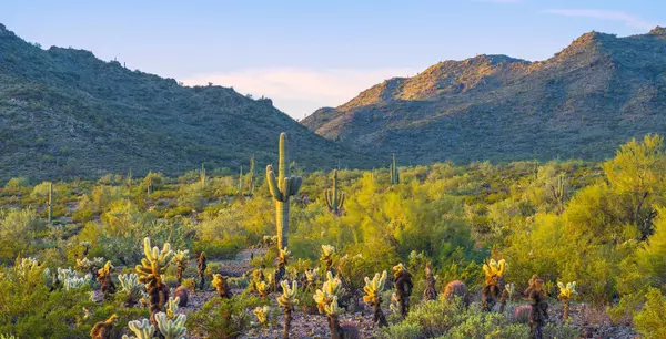 feature image of Living in Buckeye, Arizona