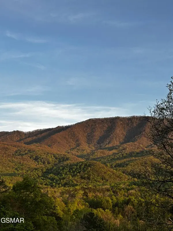 3709 Eagle LN, Gatlinburg, TN 37738