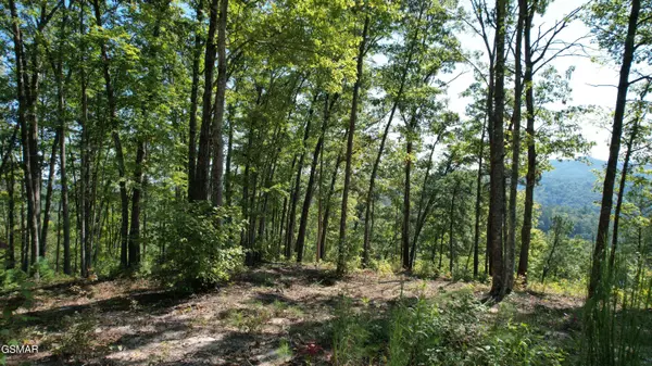 TR1-C Sulpher Springs WAY, Sevierville, TN 37862