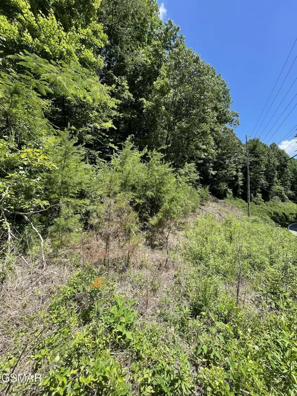 1 Pittman Center Road, Sevierville, TN 37876