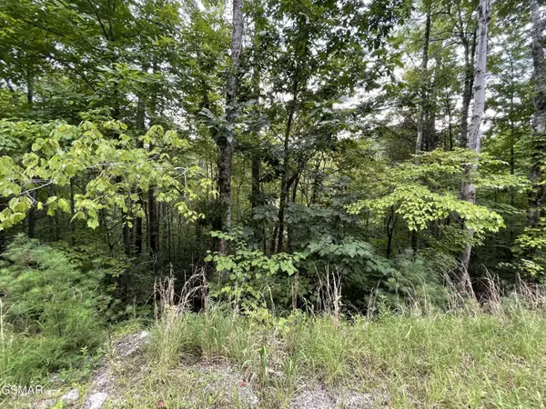 Lot 6 Stepping Stone Drive, Sevierville, TN 37862