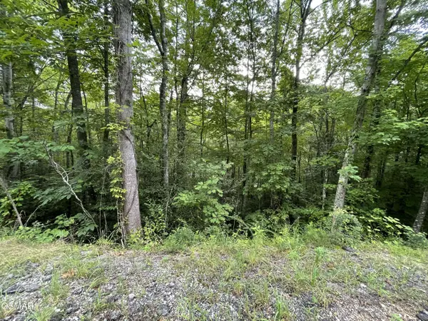 Lot 5 Stepping Stone Drive, Sevierville, TN 37862