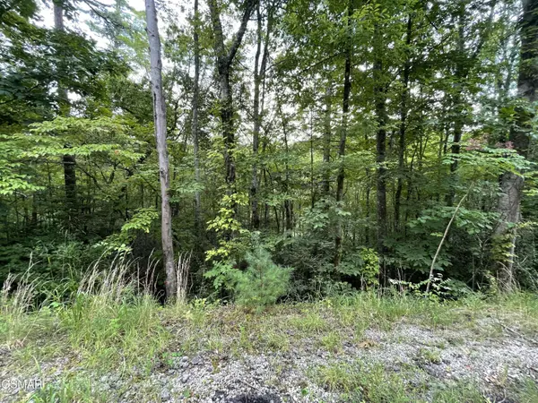 Lot 6 Stepping Stone Drive, Sevierville, TN 37862
