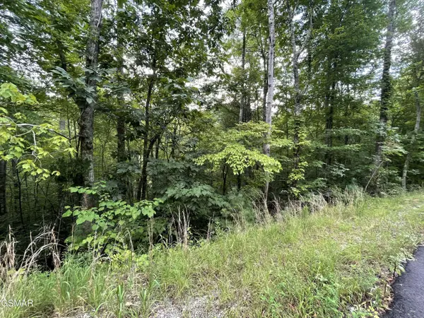 Lot 6 Stepping Stone Drive, Sevierville, TN 37862
