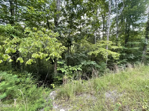 Lot 6 Stepping Stone Drive, Sevierville, TN 37862
