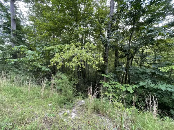 Lot 6 Stepping Stone Drive, Sevierville, TN 37862