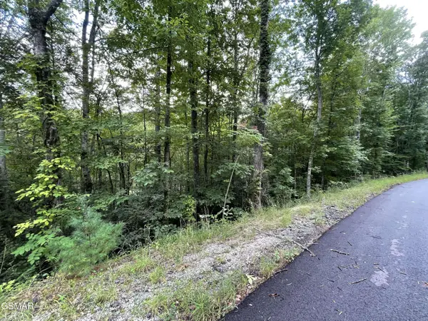 Lot 6 Stepping Stone Drive