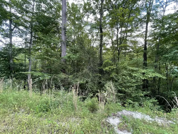 Lot 6 Stepping Stone Drive, Sevierville, TN 37862