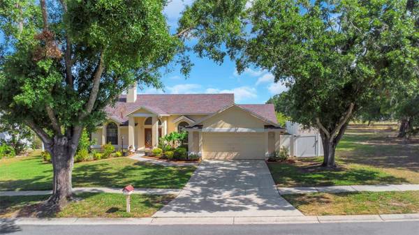 3908 LITHIA RIDGE BLVD, Valrico, FL 33596