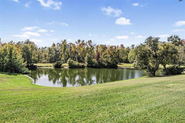 3911 LITHIA RIDGE BLVD, Valrico, FL 33596