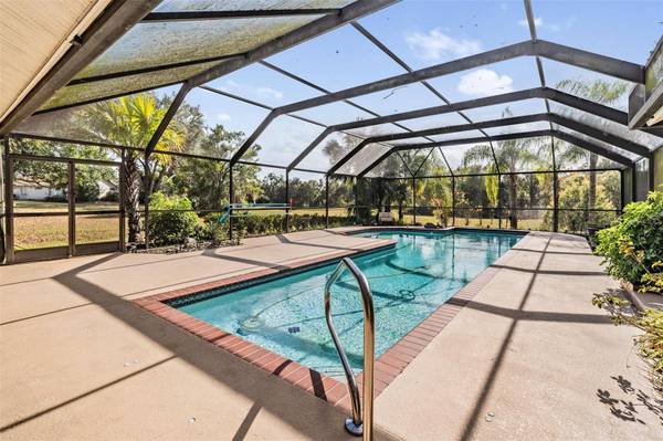 3911 LITHIA RIDGE BLVD, Valrico, FL 33596