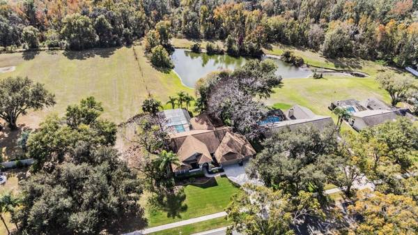 3911 LITHIA RIDGE BLVD, Valrico, FL 33596