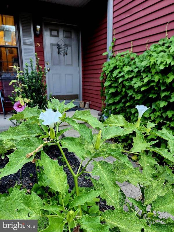 25 NORWOOD CT, Medford, NJ 08055