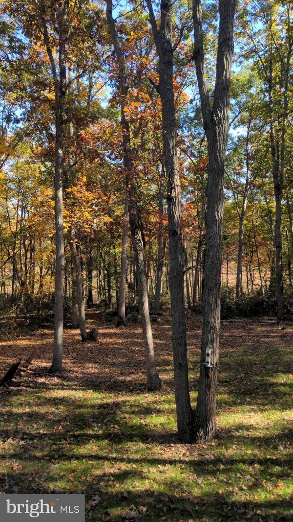 42 MOCKINGBIRD WAY, Medford, NJ 08055