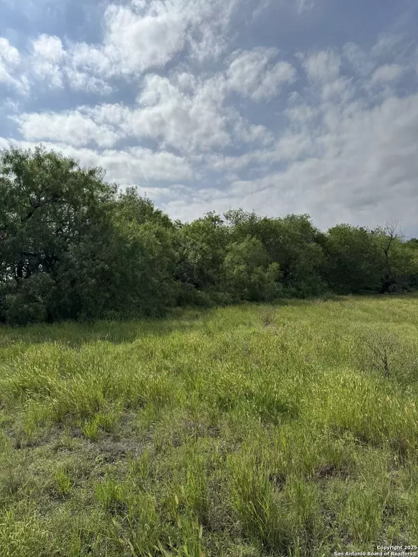TBD Gates Valley, Poteet, TX 78065