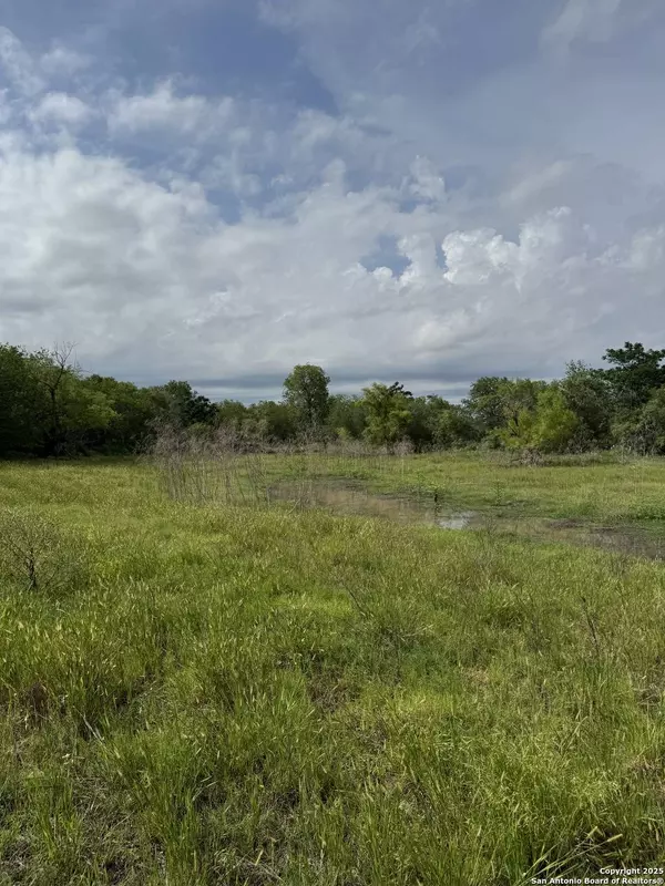 TBD Gates Valley, Poteet, TX 78065