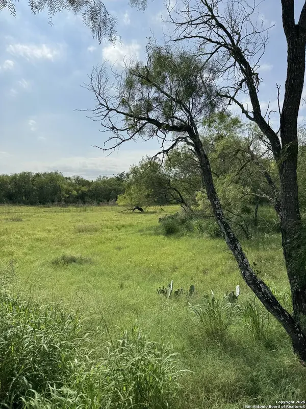 TBD Gates Valley, Poteet, TX 78065