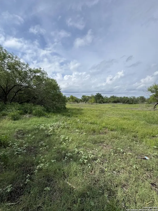 TBD Gates Valley, Poteet, TX 78065