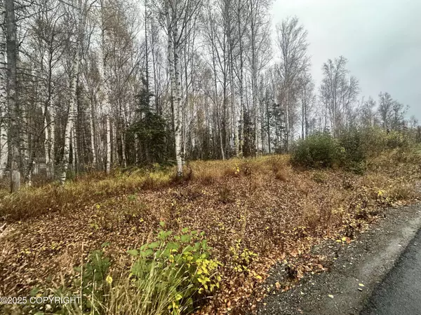 5850 E Pamela DR, Wasilla, AK 99654