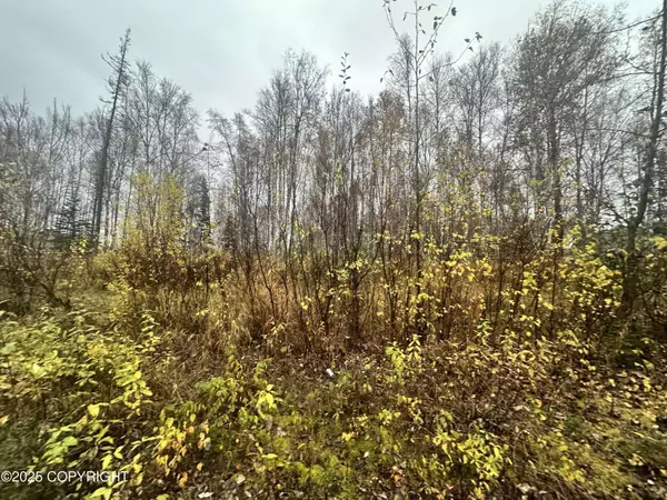 6121 N Talgach View DR, Wasilla, AK 99654