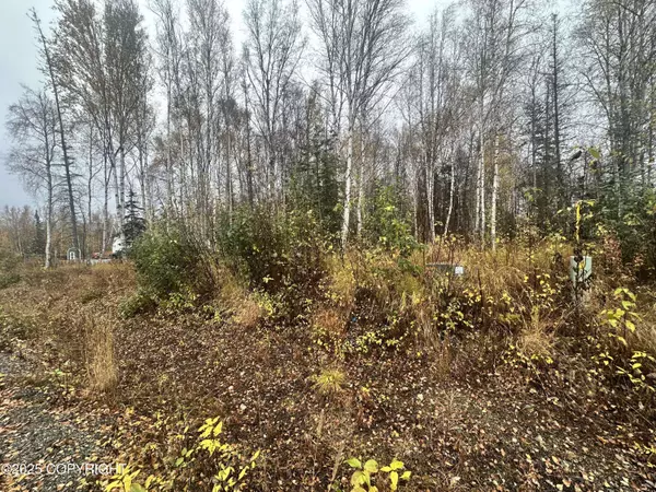 5850 E Pamela DR, Wasilla, AK 99654