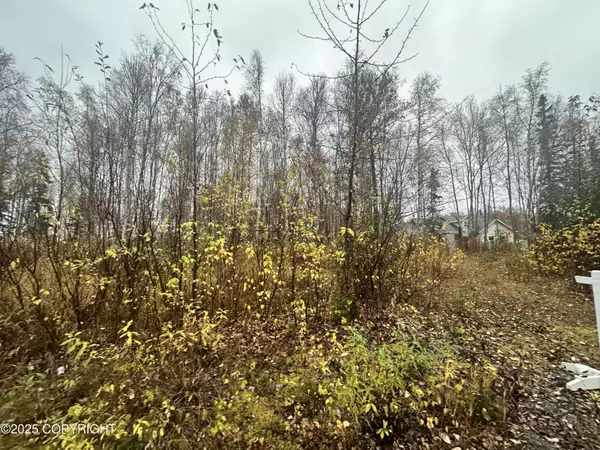 6121 N Talgach View DR, Wasilla, AK 99654