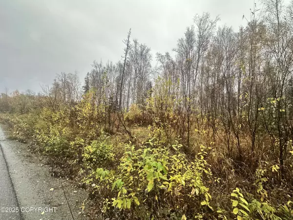 6121 N Talgach View DR, Wasilla, AK 99654