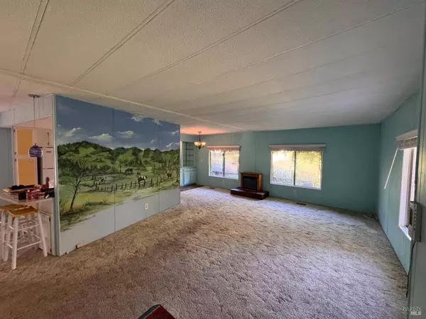 28 Springhill CT, Santa Rosa, CA 95409