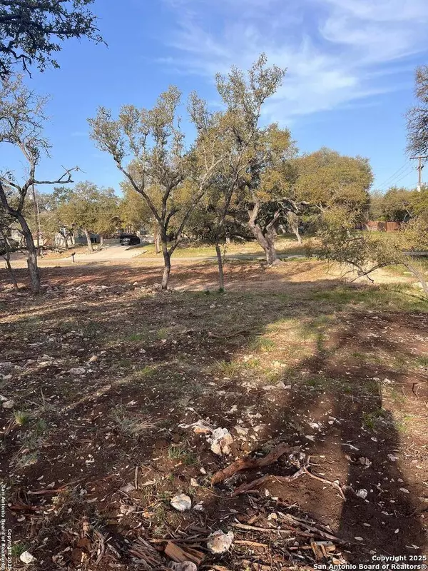 3355 Lakeview, Canyon Lake, TX 78133