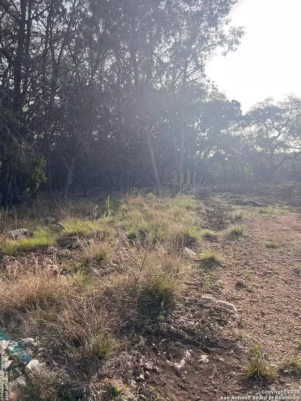 3355 Lakeview, Canyon Lake, TX 78133