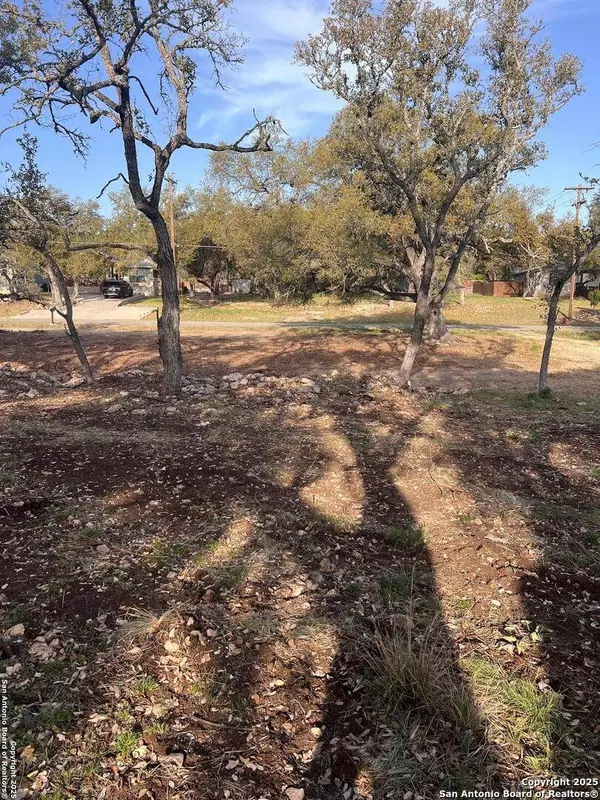 3355 Lakeview, Canyon Lake, TX 78133