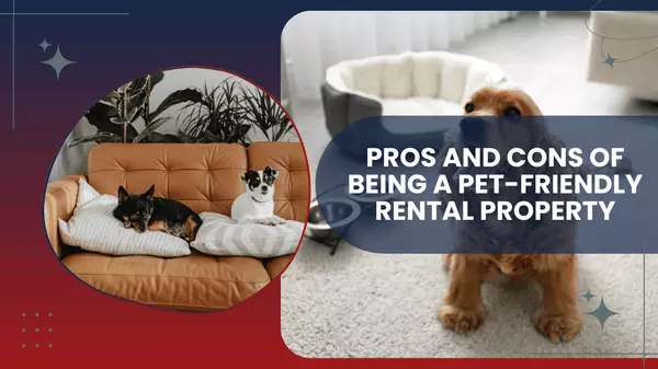 Pros and Cons of Being a Pet-Friendly Rental Property